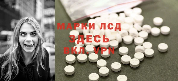прущие грибы Абдулино