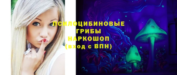 Альфа ПВП Осинники