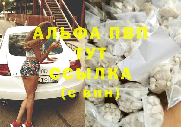 прущие грибы Абдулино