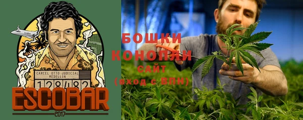 Альфа ПВП Осинники