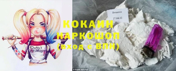 Альфа ПВП Осинники
